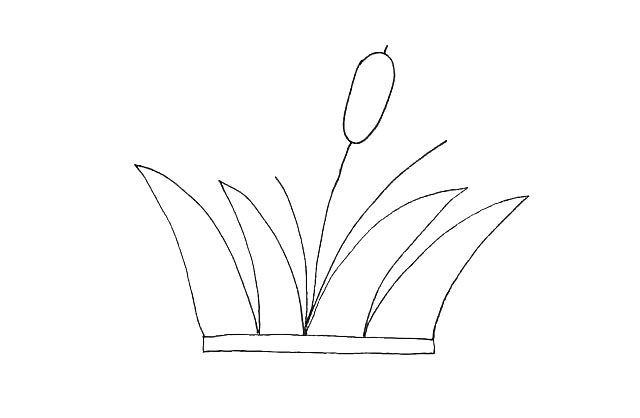 芦苇简笔画教程