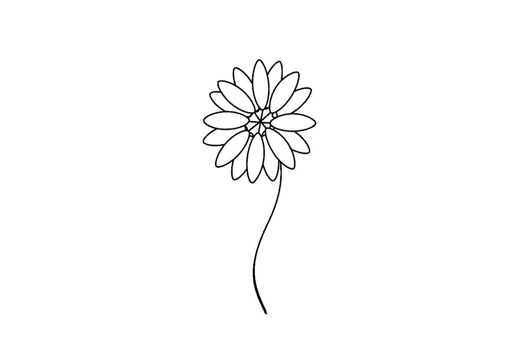 如何画雏菊花简笔画步骤