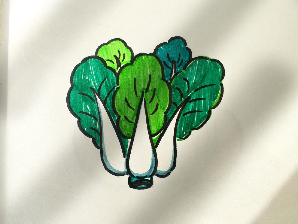 简单易画的蔬菜简笔画
