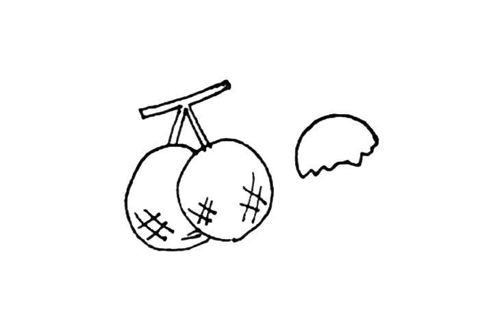 桂圆简笔画画法步骤
