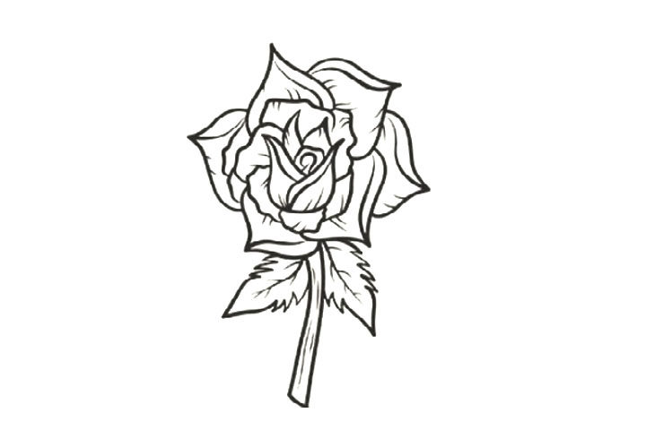 8种玫瑰花的画法