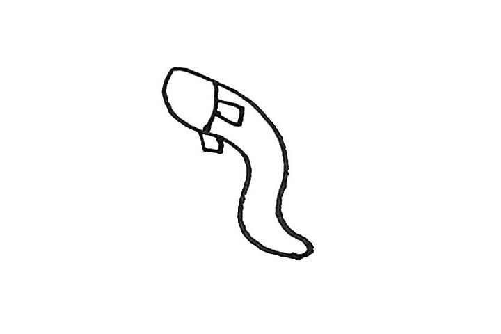 鳗鱼简笔画画法步骤