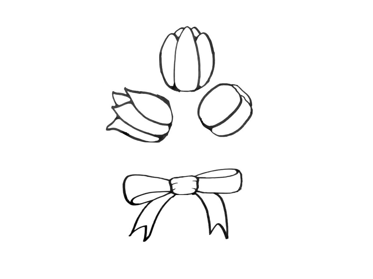 郁金香花束简笔画图片