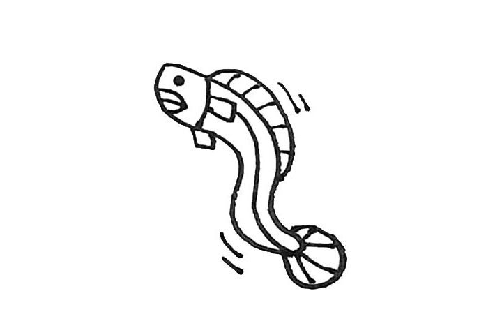 鳗鱼简笔画画法步骤