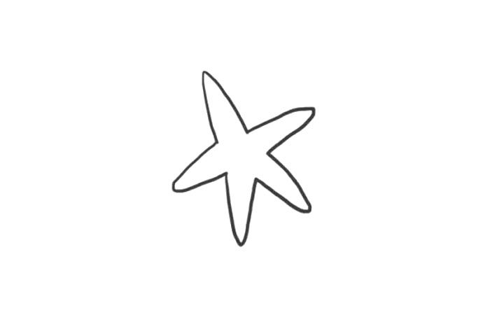 海洋生物海星简笔画画法步骤