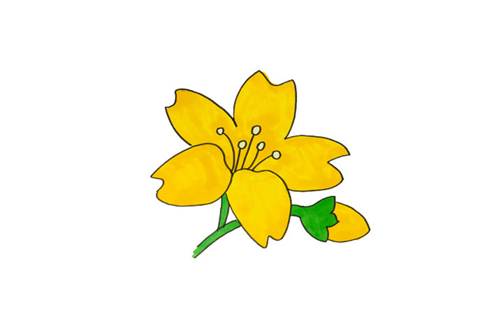 一组漂亮的花朵简笔画图片大全