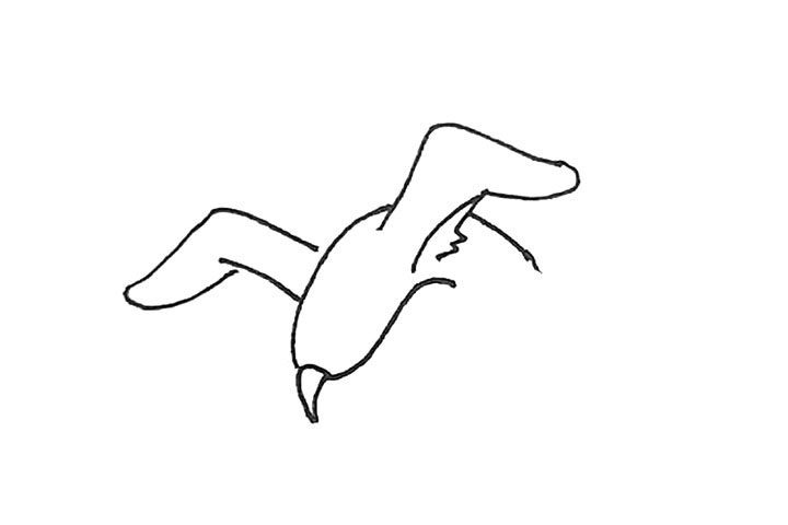 海鸥简笔画画法步骤