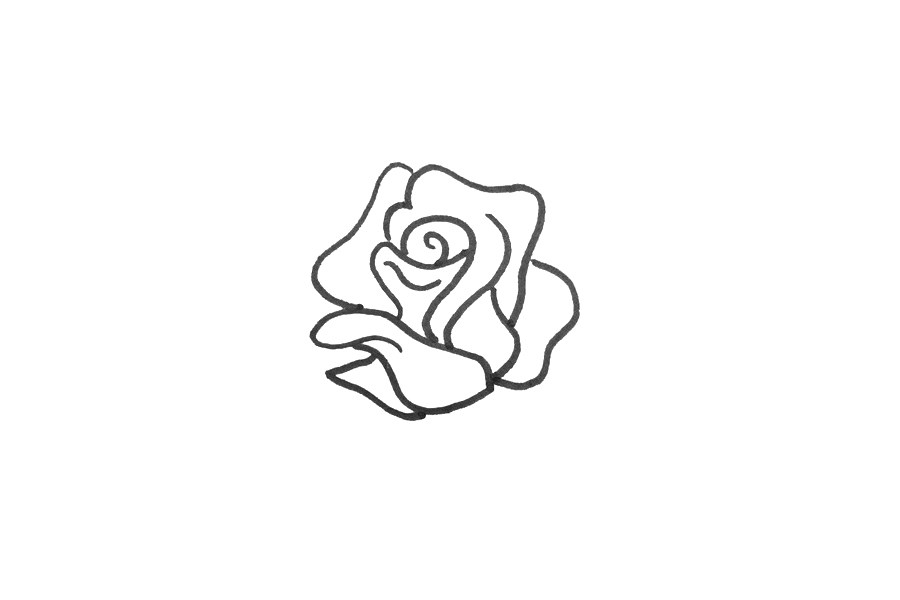 蔷薇花简笔画画法步骤