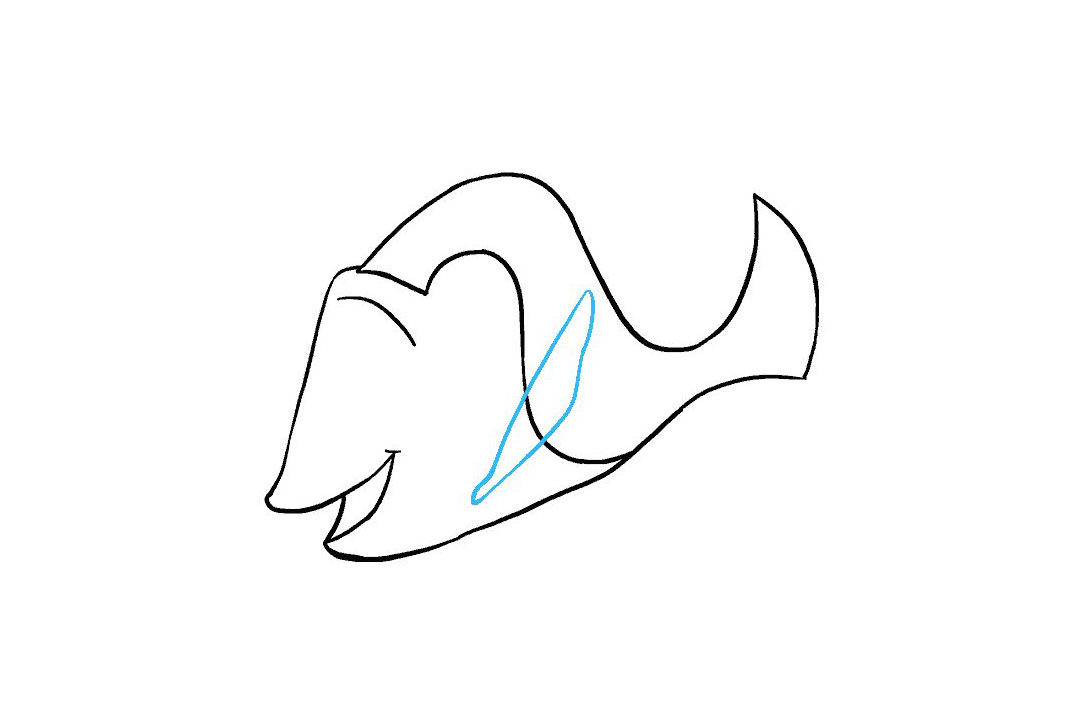 多莉怎么画