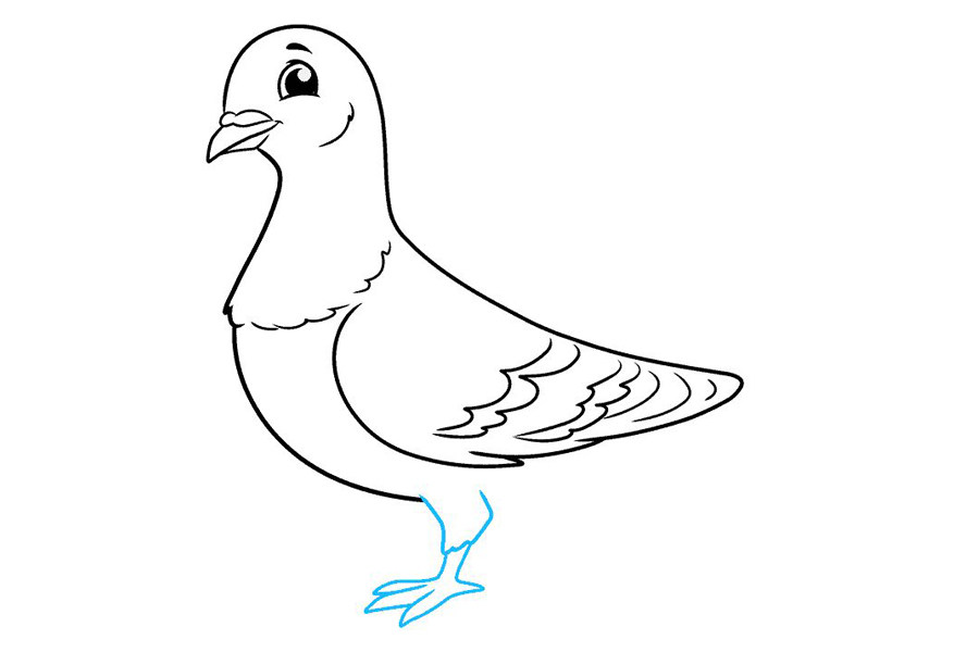 如何画鸽子