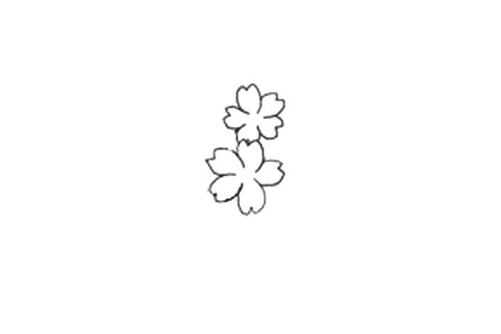 樱花的详细画法图解