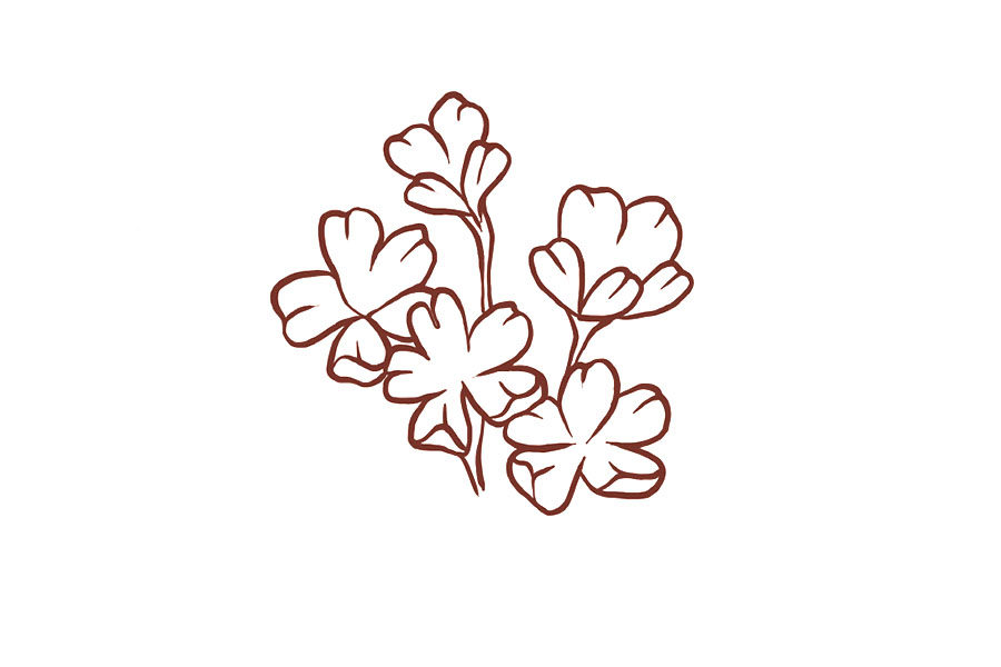 邮寄一份小花花简笔画画法教程