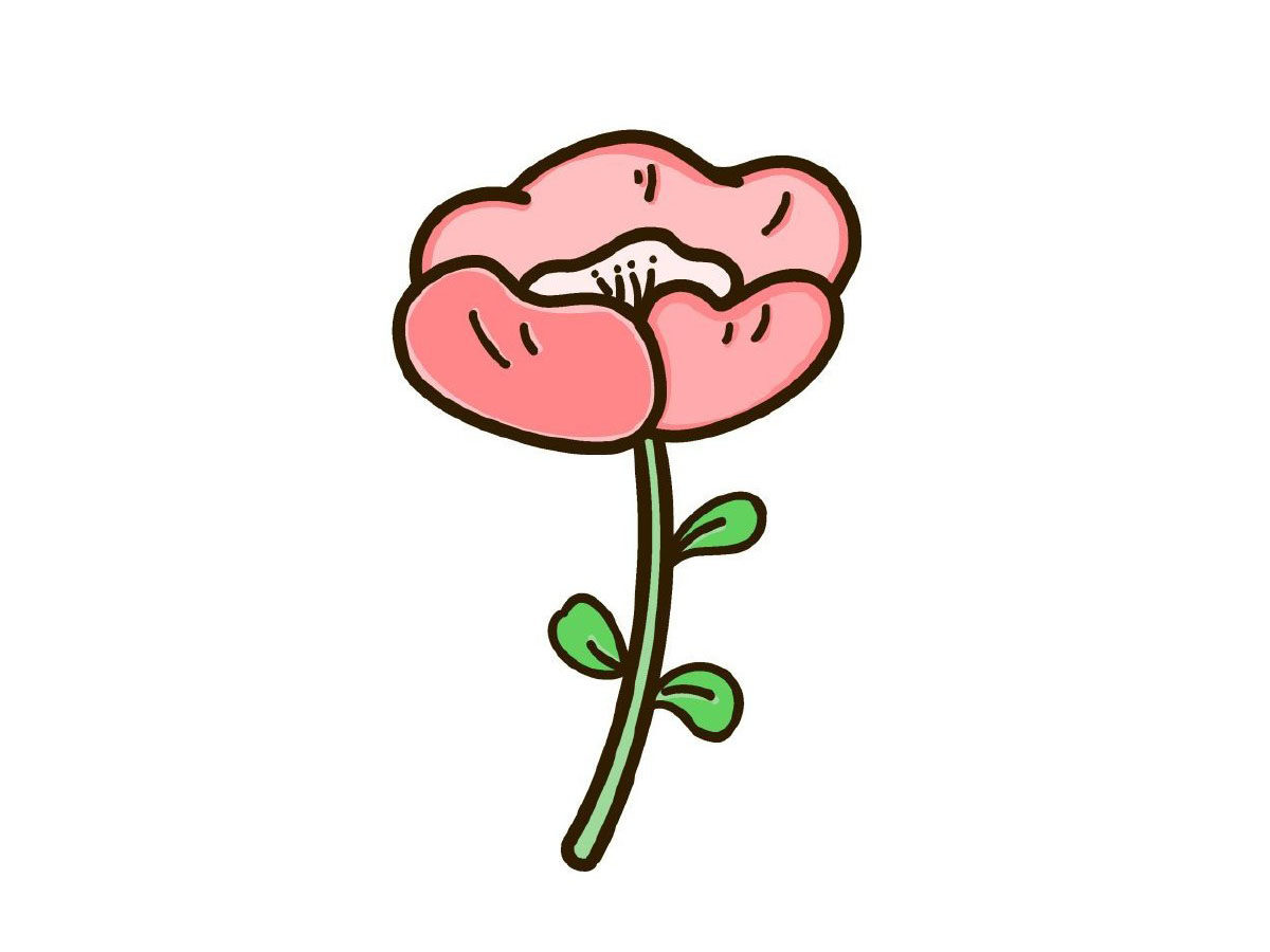 画一朵漂亮的小花