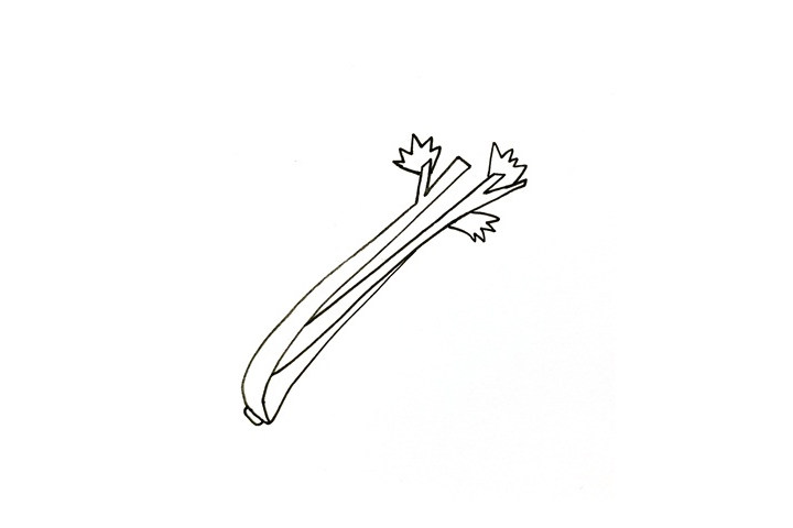 如何画芹菜