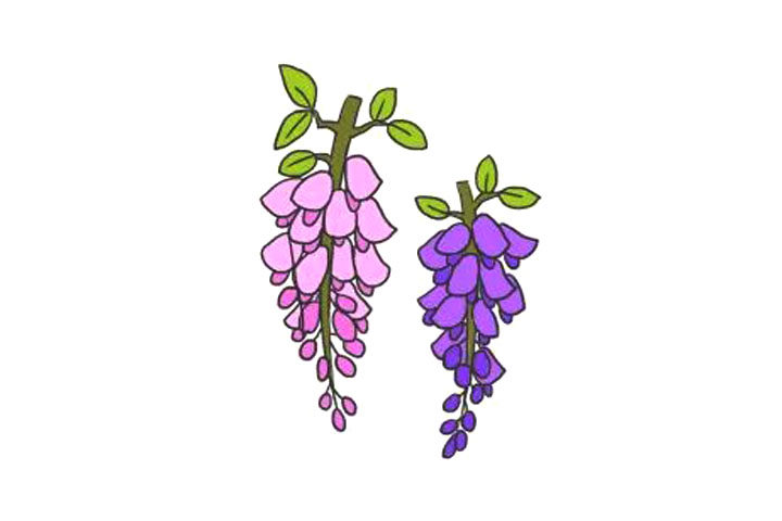 怎么画紫藤萝简笔画