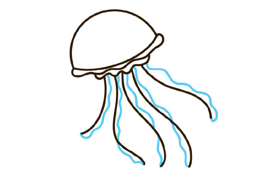 水母简笔画画法步骤