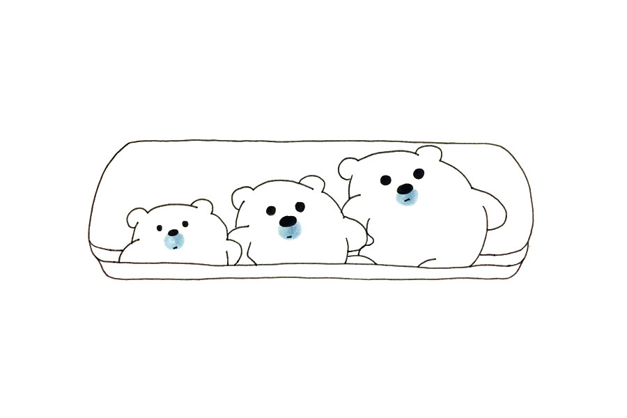 三只小熊文具盒怎么画
