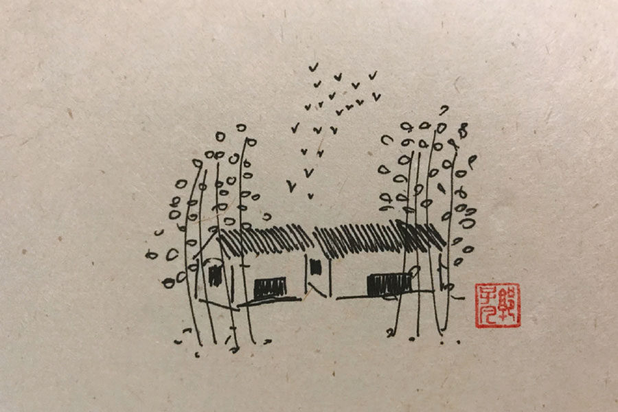 树林风景简笔画图片