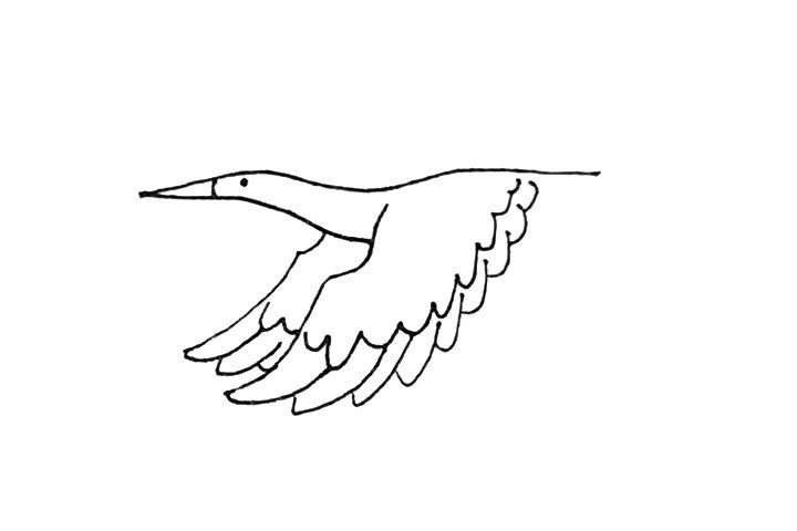 鹤的简笔画画法步骤