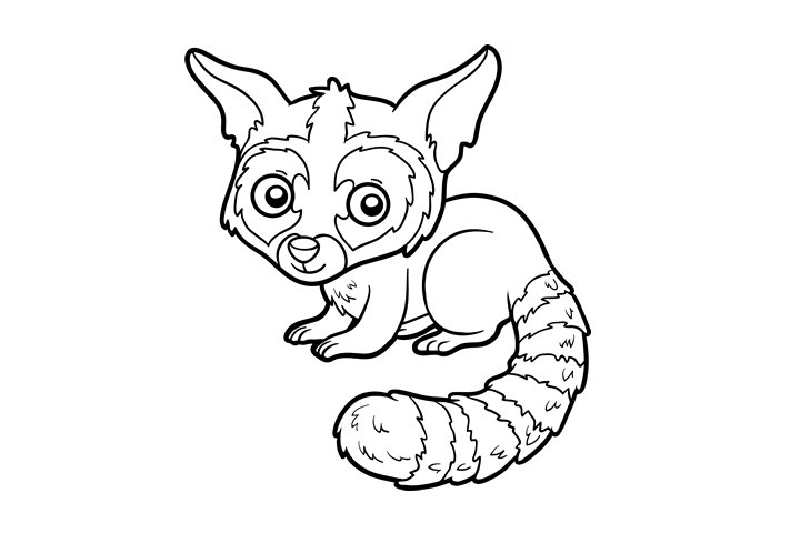 各种野生动物的画法