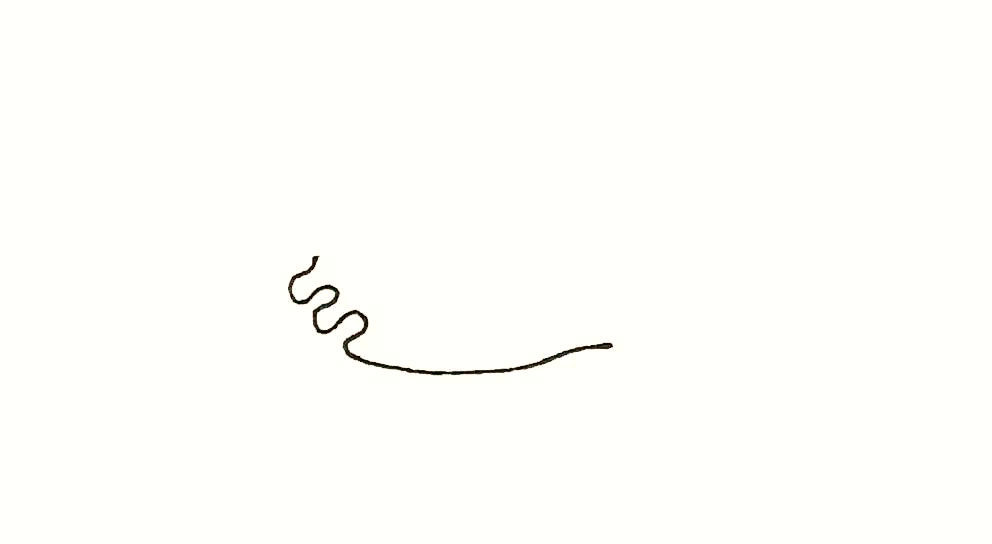 珊瑚简笔画教程