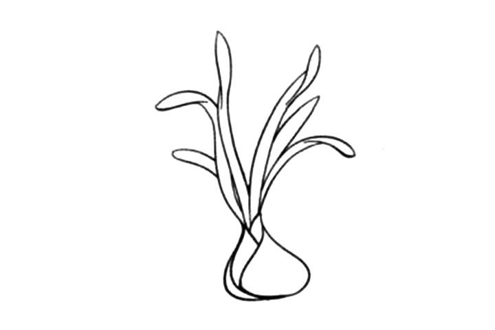 芬芳清新的水仙花简笔画教程