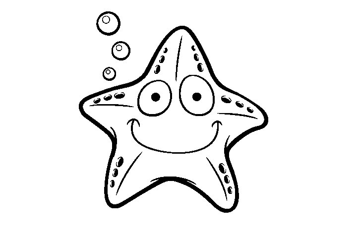 各种海星的画法