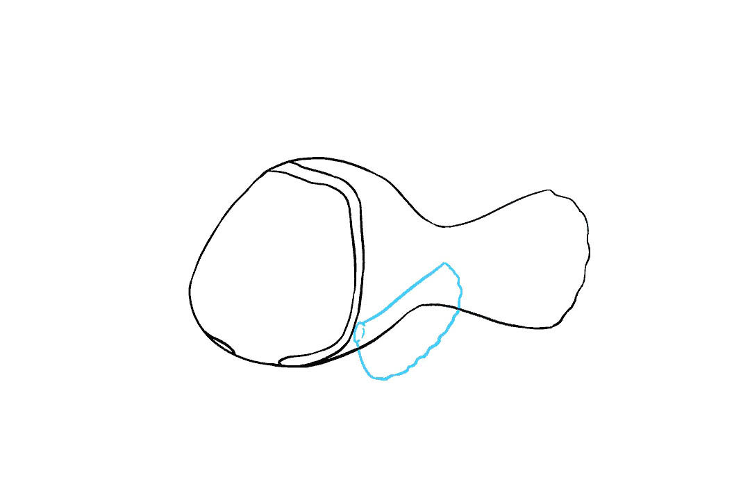 小丑鱼尼的画法