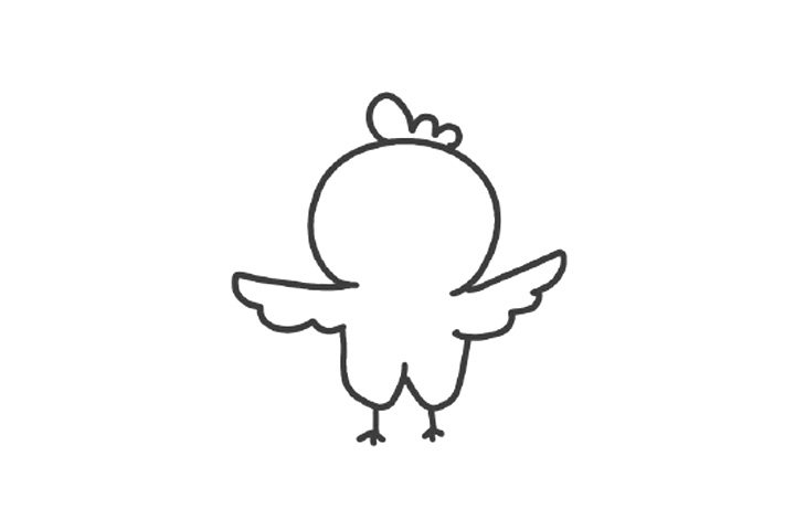 想要飞的小鸡简笔画画法步骤
