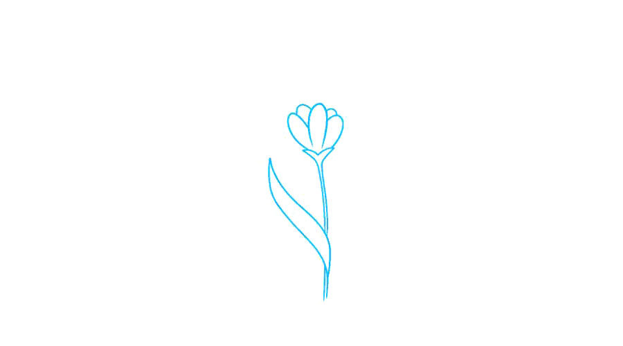 如何画薰衣草