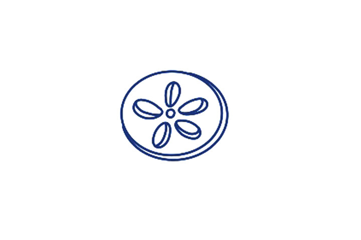 藕片怎么画