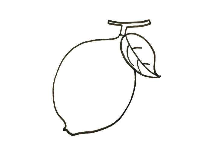 柠檬怎么画