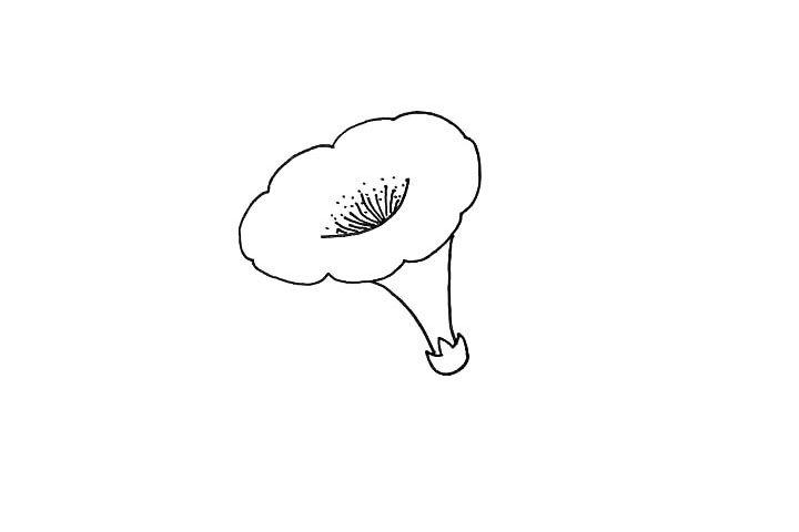 喇叭花简笔画教程