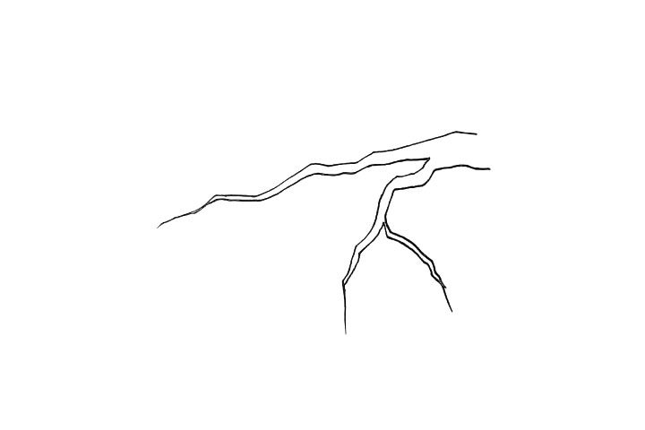 桃树简笔画画法步骤