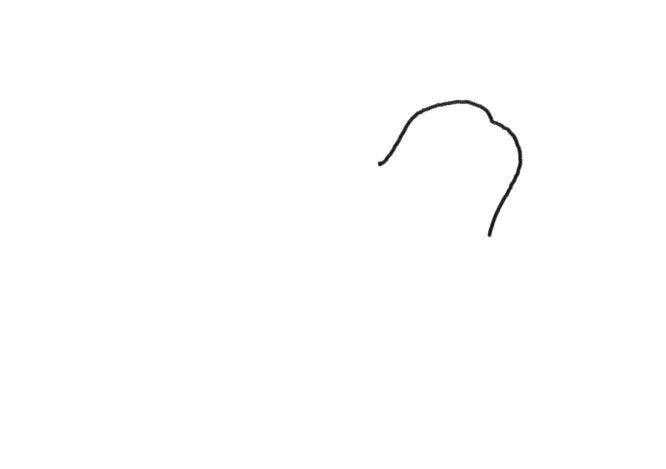 树懒简笔画 树懒宝宝和树懒妈妈