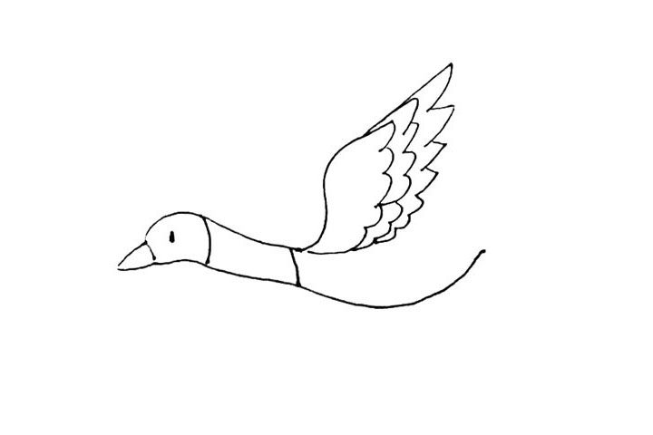 大雁简笔画画法教程