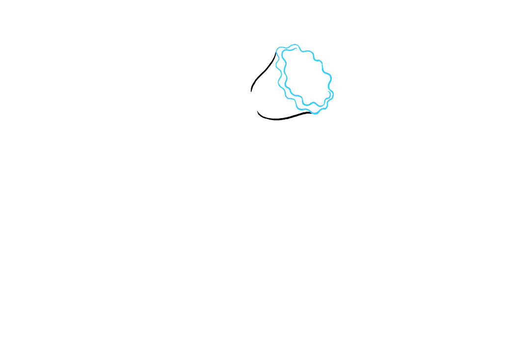 水仙花怎么画