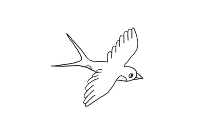 关于小燕子简笔画画法步骤