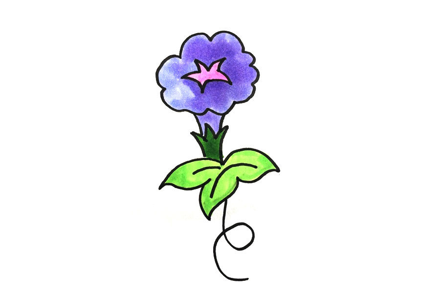 简笔画牵牛花的画法步骤