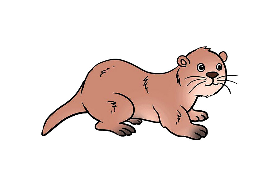 如何画水獭