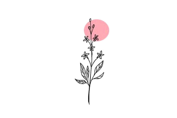 植物花草简笔画漂亮的小花简笔画图片