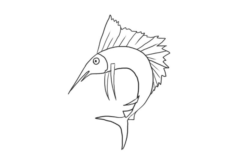 海洋生物剑鱼简笔画画法步骤