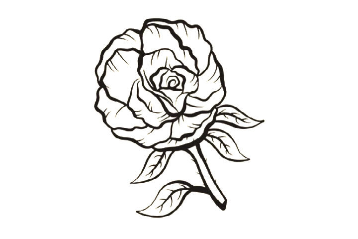 8种玫瑰花的画法