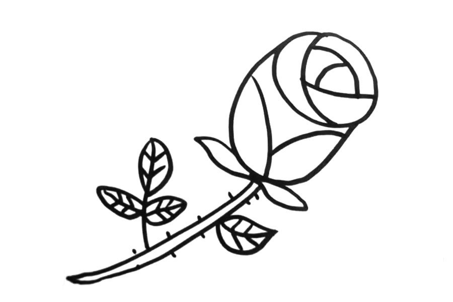 粉色玫瑰花怎么画