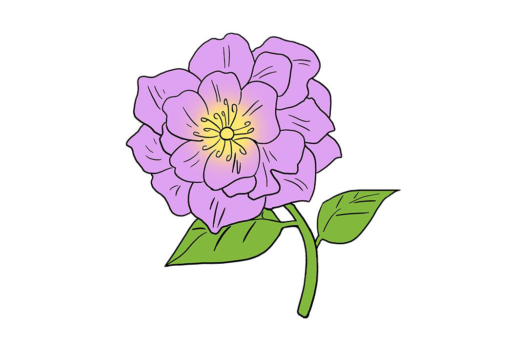 牡丹花怎么画