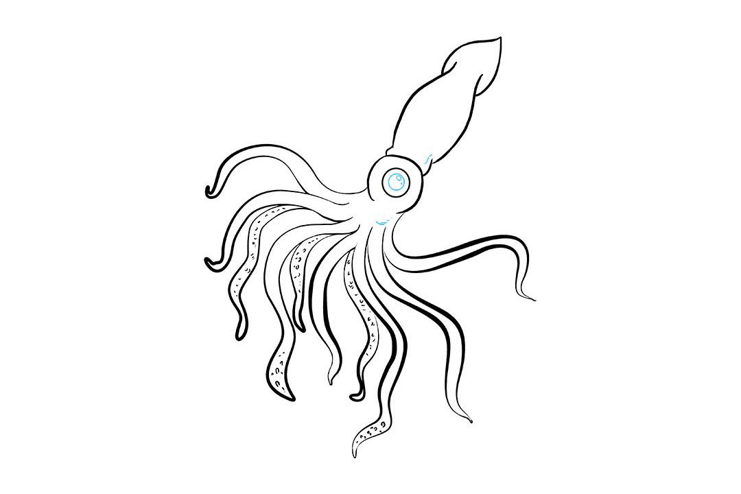 鱿鱼怎么画