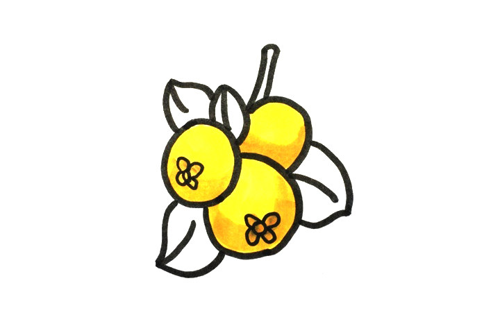 枇杷怎么画