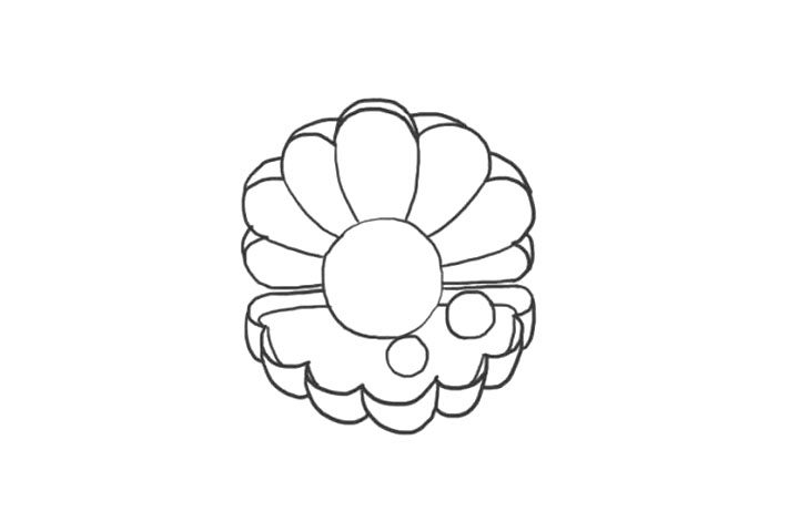 漂亮的贝壳简笔画画法步骤