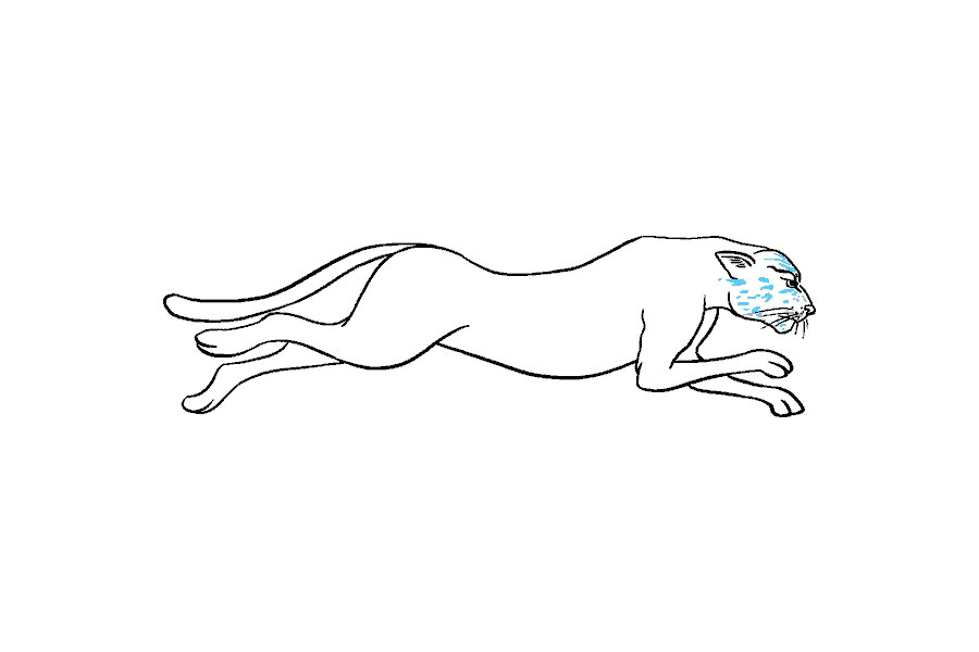 如何画猎豹