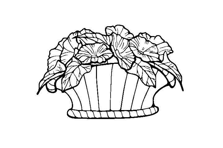 漂亮的花篮填色画